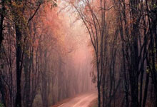 雷火电竞入口-最新世界杯：德国止步掘金！技术统计揭开钢铁战车熄火真相