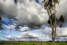 雷火电竞-当绿茵闪电撞上绿衫铁壁！姆巴佩奥运单挑凯尔特人，数据揭秘世纪交锋