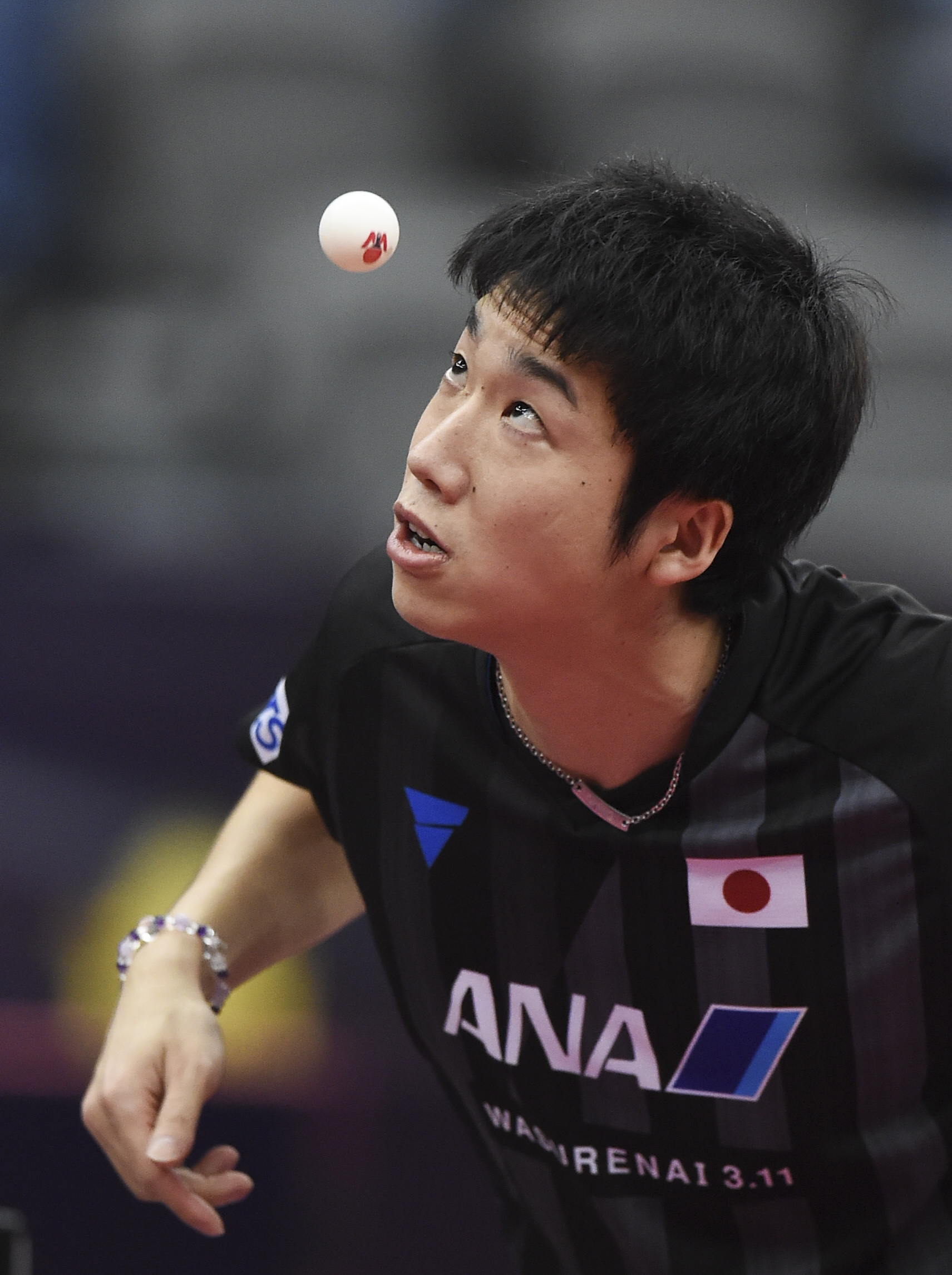 雷火电竞入驻-日本跳水选手突破个人最佳成绩的简单介绍