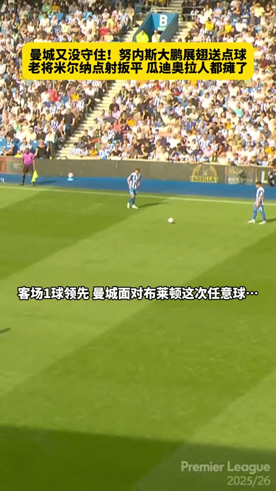 雷火电竞亚洲先驱-关于布莱顿主场比取胜南安普顿，现场球迷疯狂欢呼的信息