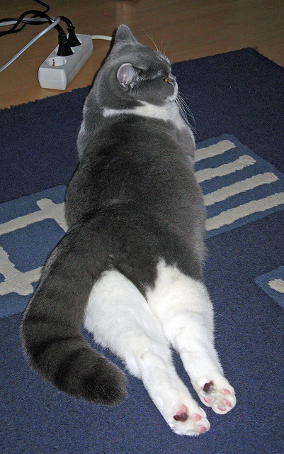 雷火电竞网址-马克西末节封神！勇士逆转公牛的关键先生诞生