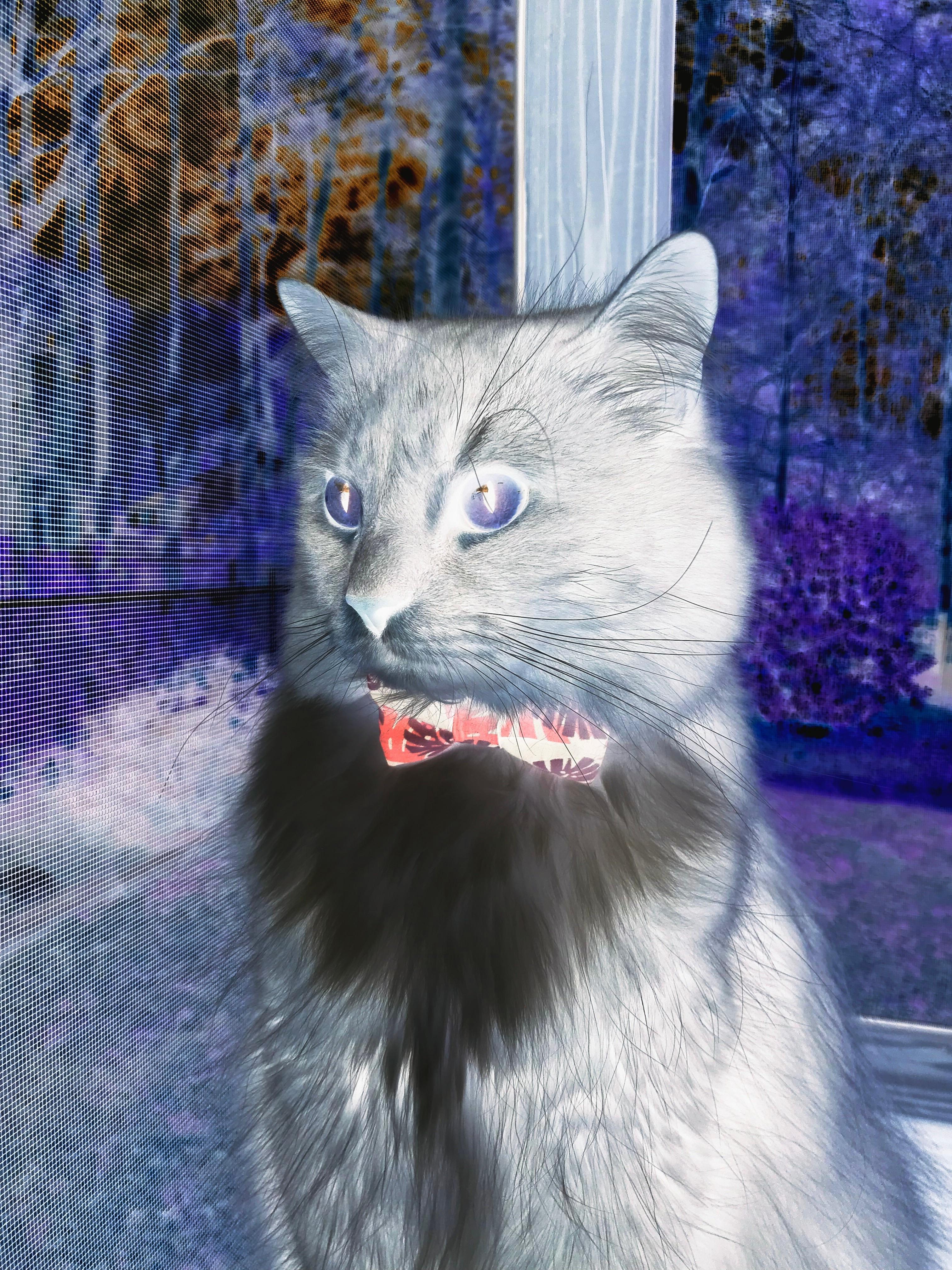 雷火电竞-跨洲对决颠覆认知！山西队用工业韵律冲垮步行者，班凯罗化身关键先生