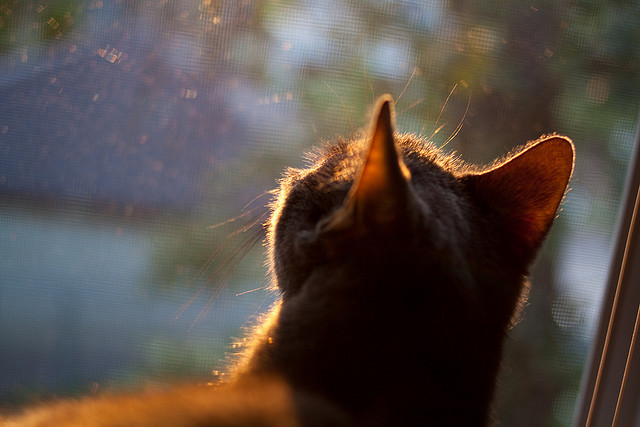 红蓝铁蹄踏平非洲，巴萨世俱杯决赛的史诗级统治
