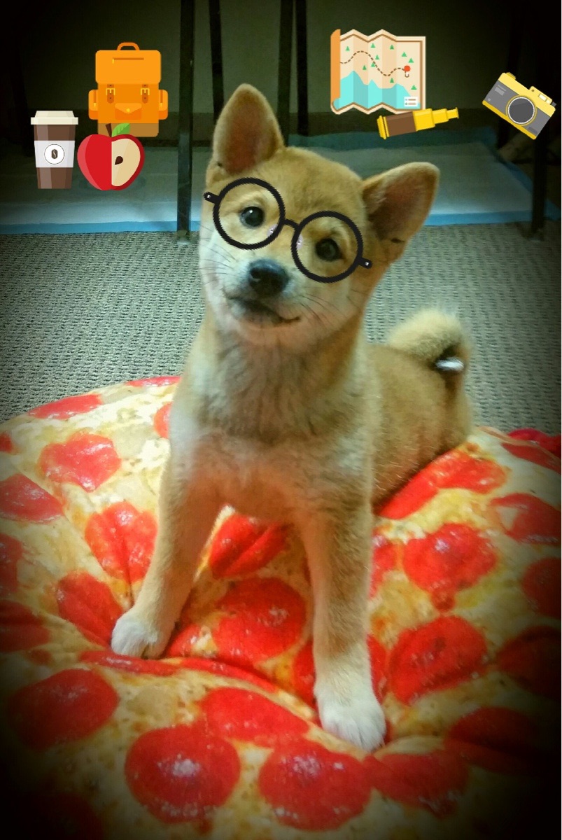 雷火电竞主播-宿命编织机，当卡塔尔、那不勒斯与凯塞多在时空中击掌