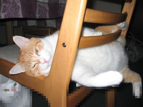 未竟的传说,当阿圭罗在德甲争冠夜的横空出世