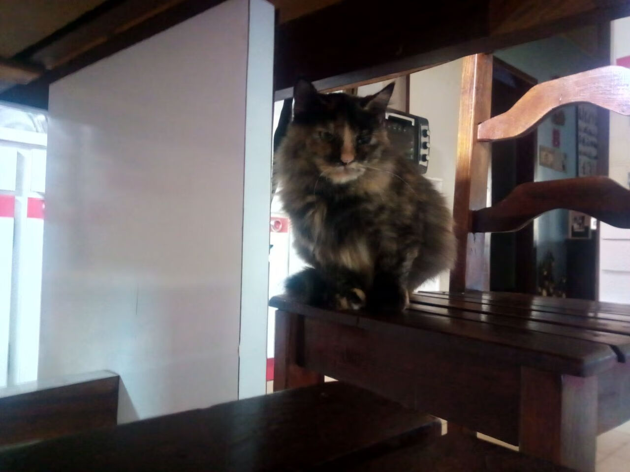 如果切特在快船，论末节接管比赛的终极形态