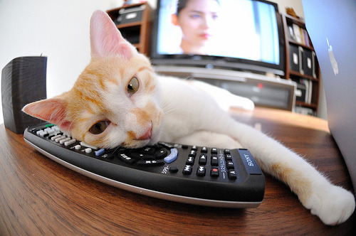 雷火电竞网址-绿茵启示录，个人锋芒与团队韧性的交响