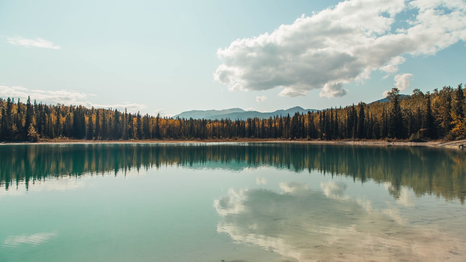 绿军节奏傀儡师，当爱德华兹的韵律笼罩北岸花园