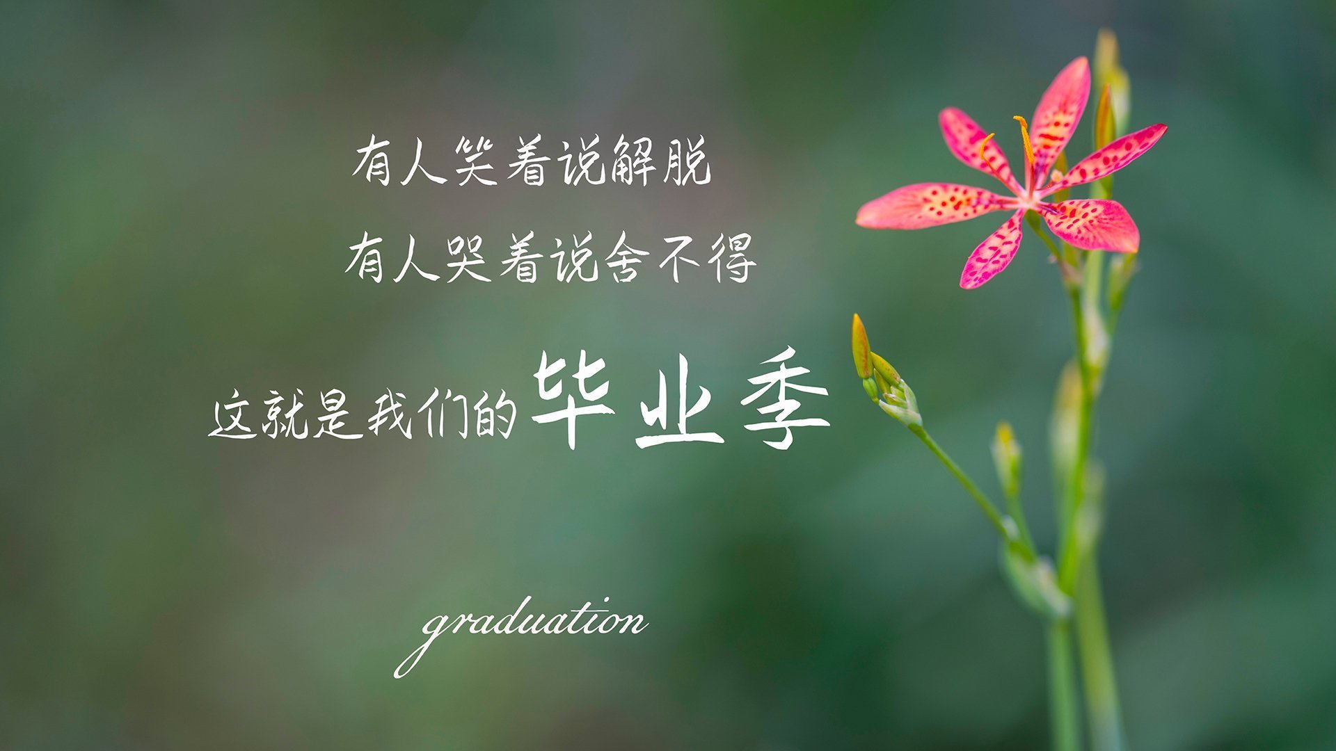 铁血复仇,2026世界杯F组关键战,智利横扫乌拉圭,努涅斯领衔强硬对抗改写南美格局